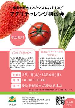 チラシ