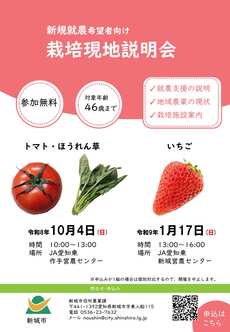チラシ