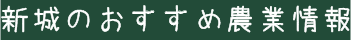 新城のおすすめ農業情報