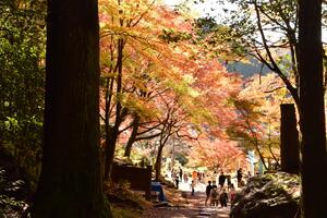 もみじまつり