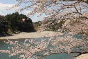 桜淵公園風景
