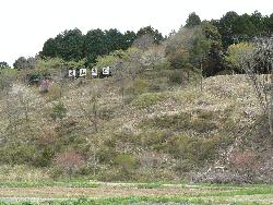 亀山城跡（遠景）