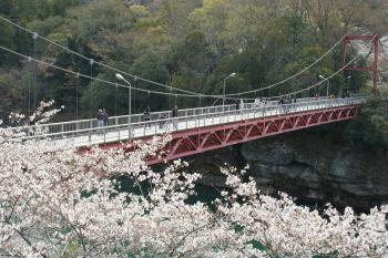 桜淵