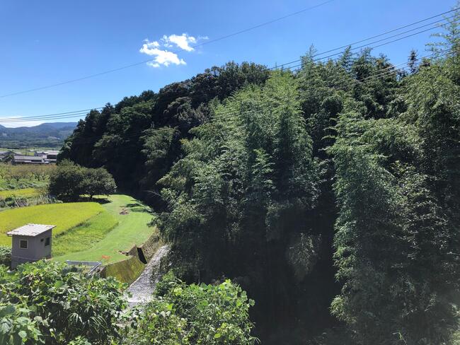 野田城跡