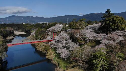 桜淵公園