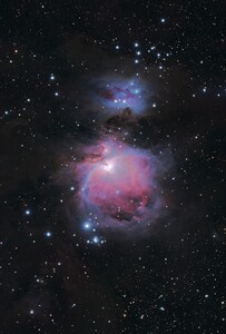 オリオン大星雲の画像