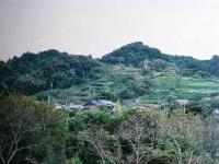 長篠城址から見た鳶が巣山