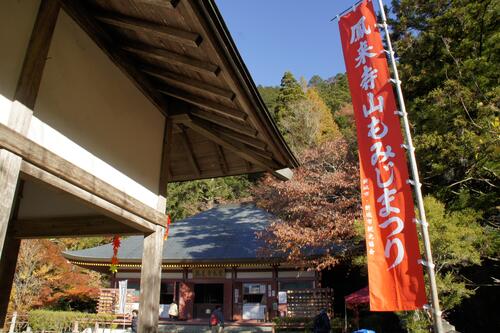 もみじまつり 