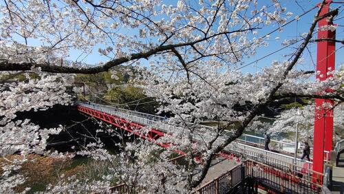 桜淵公園