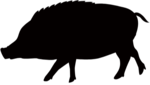 イノシシのシルエットイラスト