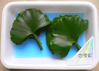 つまもの（いちょう）