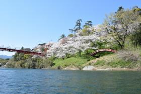 桜淵公園